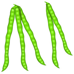 Long beans