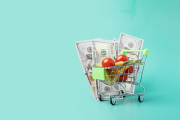 Grocery cart with cash, supermarket expenses, food shopping, financial planning