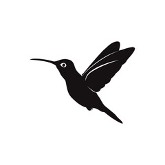 Hummingbird vector silhouette