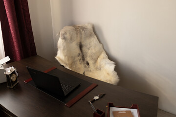 A soft white deerskin on a chair by the desk