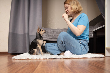 Obraz premium Owner training dog, teaching obedience, giving treats, canine education