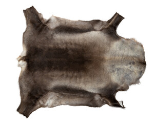 The soft skin of the brown reindeer is prepared for the products