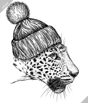 Vintage engraving isolated leopard set glasses dressed fashion panther illustration ink sketch. Africa wild cat cheetah background jaguar animal silhouette sunglasses hipster hat art. Vector image