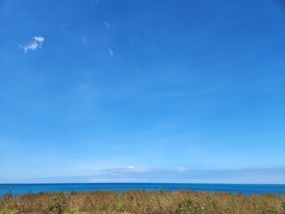 wheat field and blue sky
