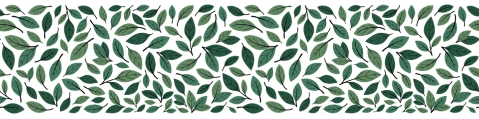 Poster Green hand drawn tea leaves horizontal seamless border. Design for banner. Isolated on white background. © Alex_Zakharov
