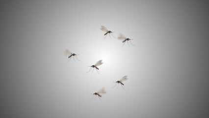 Dengue mosquitoes isolated flying on gradient background - obrazy, fototapety, plakaty