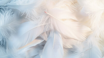 Fototapeta premium background of many white bird feathers close up