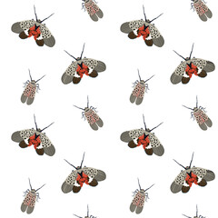 Seamless Pattern Spotted Lantern Fly - fruit fly Lycorma delicatula