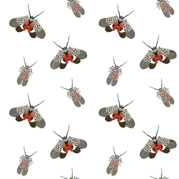 Seamless Spotted Lanternfly Pattern &ndash; Lycorma delicatula Invasive Insect Background