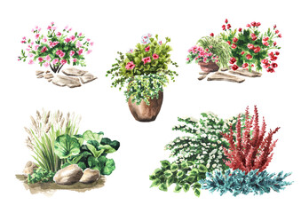 Garden flower bed. Landscape design set. Hand drawn watercolor illustration  isolated on white background