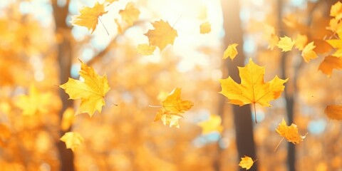 A mesmerizing image capturing a bunch of yellow leaves gracefully soaring through the air. Perfect for autumn-themed projects and nature-inspired designs
