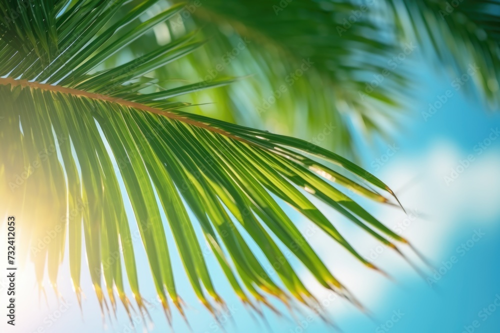 Poster a close up view of a palm tree with the sun shining in the background. perfect for tropical and beac