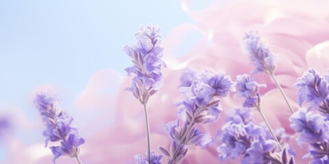 A close-up view of a bunch of purple flowers. Can be used to add a pop of color to any floral arrangement or garden design