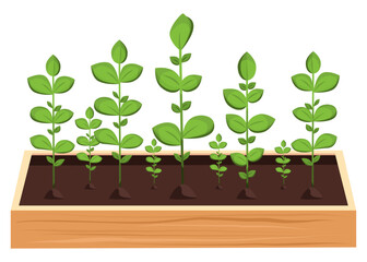 Germinated plant seedlings in a wooden box for garden and vegetable garden. Spring and summer season. Vector. Cartoon. Simple. Flat.