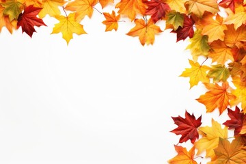 A white background with a border made of autumn leaves. Perfect for autumn-themed designs and decorations