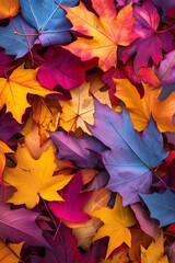 Naklejka na ściany i meble a pile of colorful autumn leaves, in the style of canvas texture emphasis, vibrant, color photography pioneer, decorative backgrounds, dark azure and magenta, light yellow and dark orange.