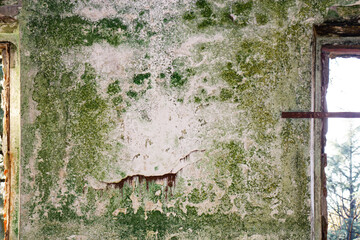 Parete vecchia umida