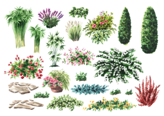 Landscape design elements set. Hand drawn watercolor illustration  isolated on white background