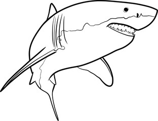 Fototapeta premium Shark ouline illustration on transparent background