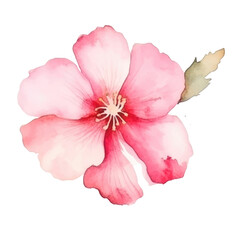 Naklejka premium pink Flower watercolor illustration.Manual composition watercolor elements. on white background