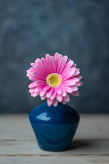 デイジーの花　マクロショット