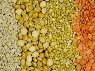 Red lentils, chickpeas or chana, mung dal and black gram.