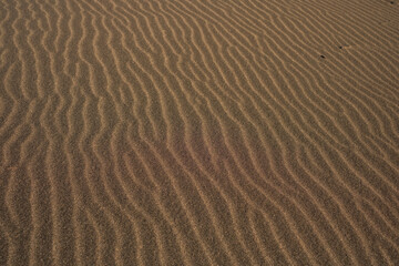 arena desierto