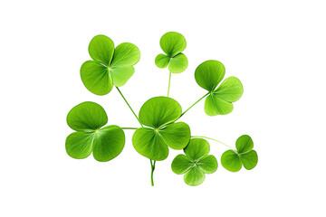Shamrocks clover leaves St. Patrick's Day celebrating, Set clover shamrock and green clover leaf quatrefoil lucky, isolated on a Transparent background. Generative AI  