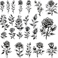 set of black and white rose leaf botanical element illustration isolated floral flower nature vector drawing set vintage bud decoration beautiful blossom - obrazy, fototapety, plakaty