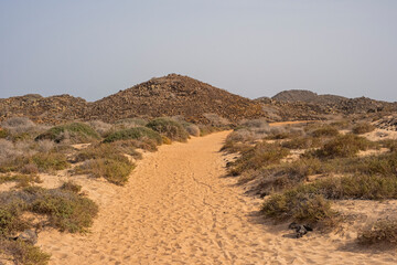Camino de arena en medio de la vegetación árida en Isla de Lobos, Canarias 