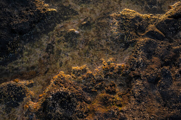 Roca acúatica, Océano Atlántico, Fuerteventura, Islas Canarias