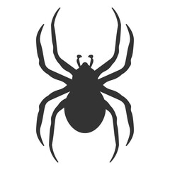 Spider icon. Arachnid symbol design vector ilustration.