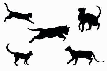 silhouette of a cat on a white background