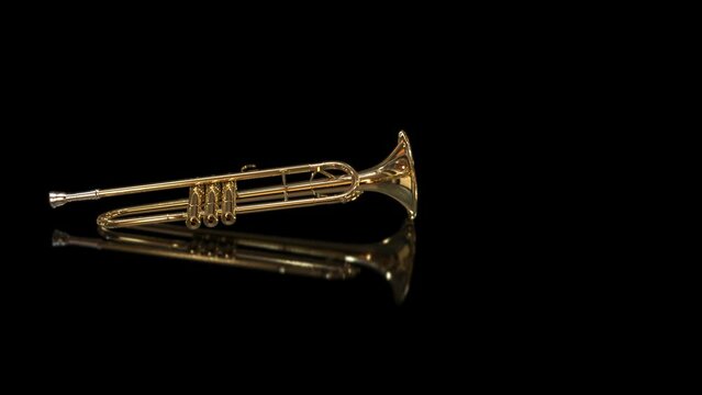 Trumpet on Reflective Background  (loop)