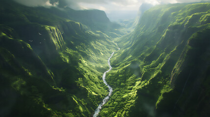 大自然の渓谷