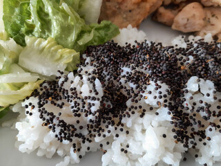 Homemade grilled chicken with grilled zucchini, green salad, spring rolls, rice pilaf and parsley. Broccoli seeds on top of the rice pilaf.