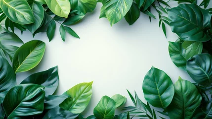 Papier Peint photo autocollant Brésil Escape to a lush paradise with this exquisite set of tropical plant leaves, perfect for adding a touch of the tropics to any modern decor.