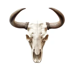Store enrouleur Crâne aquarelle Watercolor buffalo skull hand painted illustration