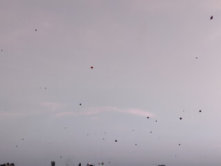 Cityscape view of pink city Jaipur shot on festival of Makar Sankranti during daylight