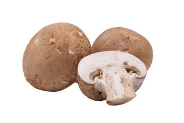 Group of brown mushrooms two whole and one cut in half isolated on a cutout PNG transparent background