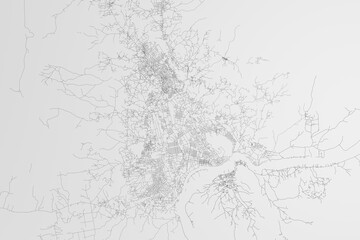Map of the streets of Bangui (Central African Republic) on white background. 3d render, illustration