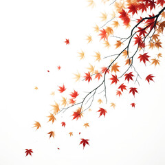 autumn leaves background, Image of maple leaves before the fall season. Background image. Transparent.