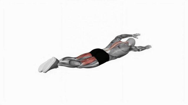 alternate superman fitness exercise workout animation video male muscle highlight 4K 60 fps