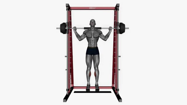 Animation of a muscle man exercising smith machine Bulgarian split fitness workout