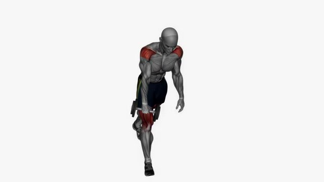 Animation of a muscle man single leg Romanian deadlift dumbbell fitness exercise workout