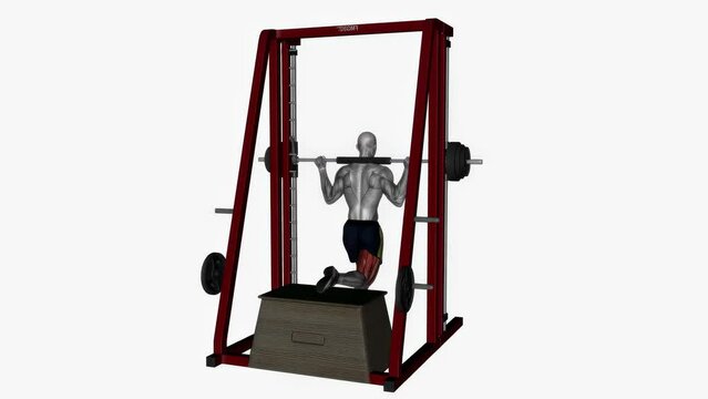 Animation of a muscle man exercising Smith machine Bulgarian split squat fitness workout