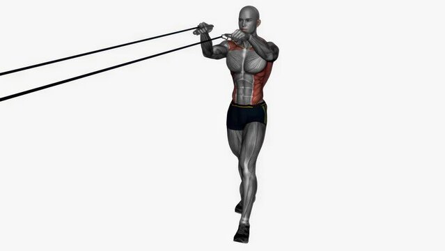 Animation of a muscle man exercising rear deltoid fly cable resistance band fitness workout
