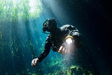 Scuba diver wearing a wetsuit and oxygen tank swimming underwater - obrazy, fototapety, plakaty