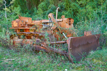 Forgotten Relic: Abandoned Excavator in the Wilderness