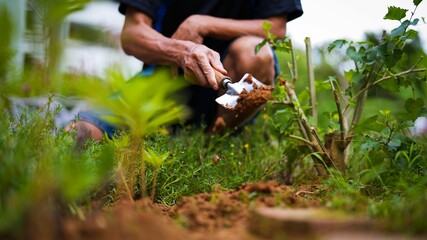 Closeup shot of a man carefully planting small plants into the soil.